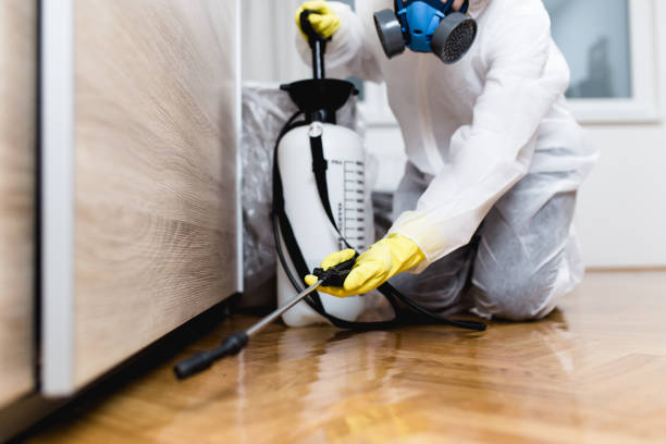 Best Mosquito Control Services  in Forest City, FL