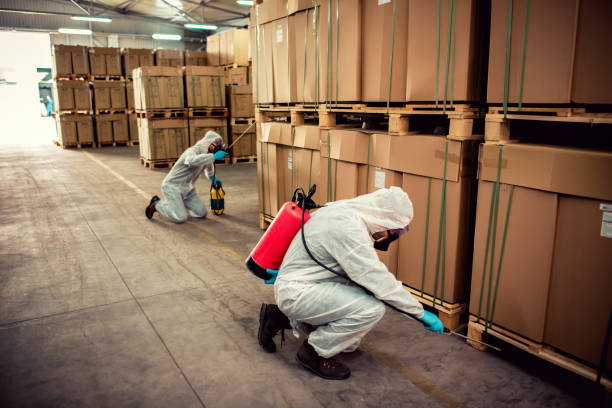 Best Best Pest Control Companies  in Forest City, FL