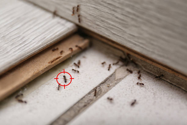 Forest City, FL Pest Control Company