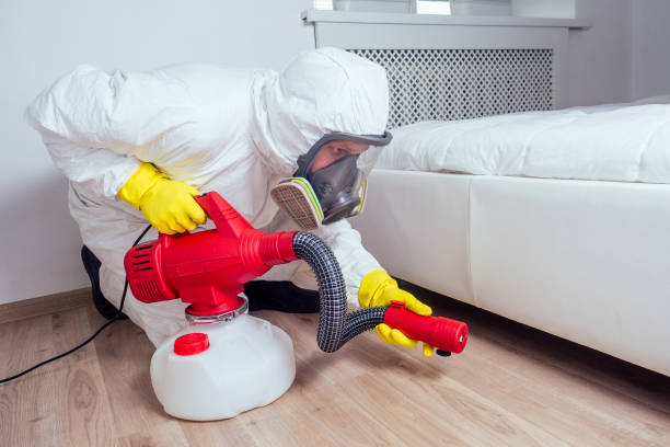 Best Termite Control Services  in Forest City, FL