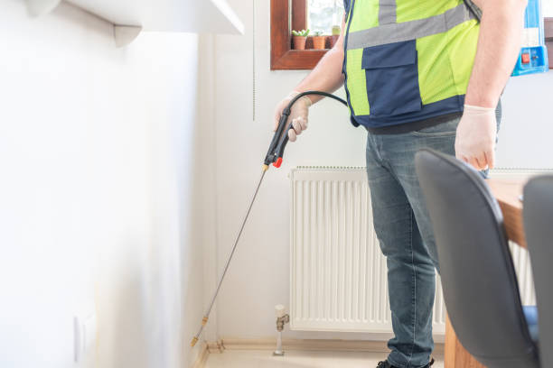 Best Wasp Removal Services  in Forest City, FL