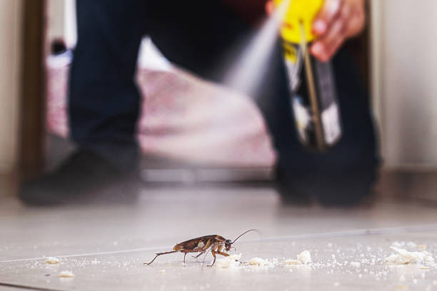 Best Rat Extermination Near Me  in Forest City, FL