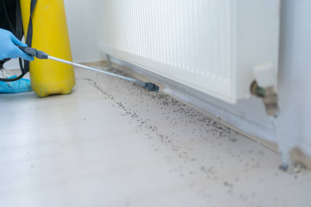 Best Pest Control for Businesses  in Forest City, FL