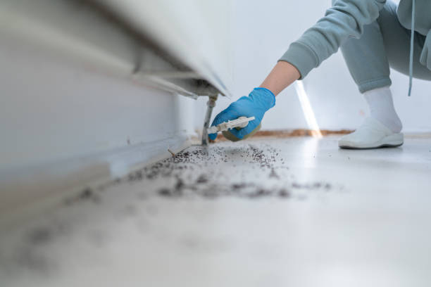 Best Pest Control Cost  in Forest City, FL