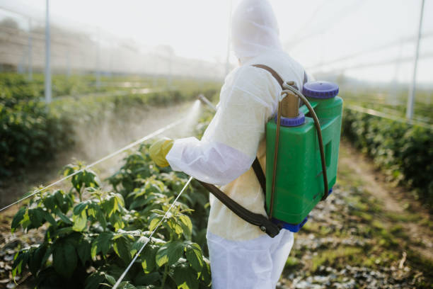 Best Pest Inspection Near Me  in Forest City, FL